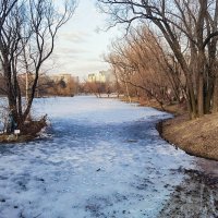 Весенние зарисовки в парке Победы. :: Лилия *