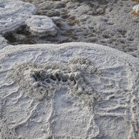 творение природы :: Осень