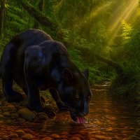 Багира. :: Aleksey Afonin