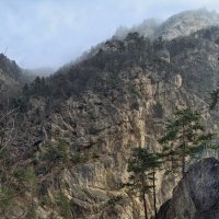 Ассиновское ущелье :: Мариша Тим