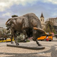 Кадыкёй :: skijumper Иванов