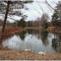 *** :: Aleksandr Gal