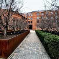 Фруктовый сад :: Анатолий Колосов Фруктовый сад :: Анатолий Колосов