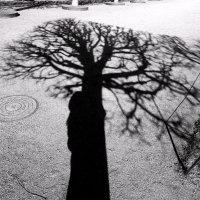 *** :: Сергей Григорьев