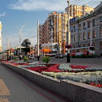 Цветы на улицах Тамбова :: MILAV V