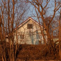 Весенний вечер :: Павел Харлин