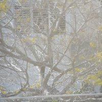 115 (226) :: CLOSE WAYS ALL