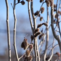 *** :: Павленко Михаил 