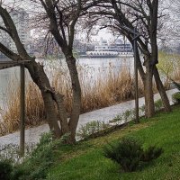 *** :: Игорь Протасов