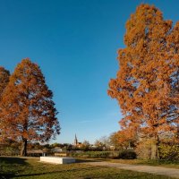 Кипарисы в ноябре... :: Николай Гирш Кипарисы в ноябре... :: Николай Гирш