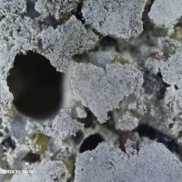 sedimentation :: Конрад Карлович Михельсон