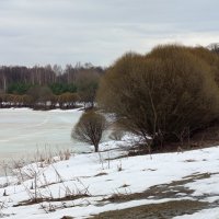 Март, какой может нравится не всем :: Андрей Лукьянов Март, какой может нравится не всем :: Андрей Лукьянов
