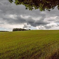 Тучи над полем... :: Николай Гирш