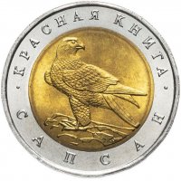 Сапсан :: Сеня Белгородский