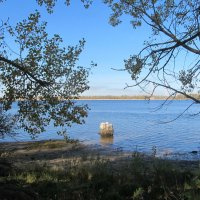 тихий октябрь :: Елена Шаламова тихий октябрь :: Елена Шаламова