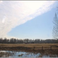 *** :: Aleksandr Gal