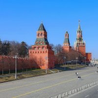 у кремлевской стены... :: Andrey Bragin 