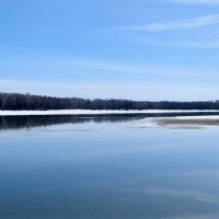 лебеди улетели... :: Вера Солнцевна