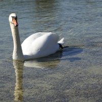 ... :: Галина ... :: Галина