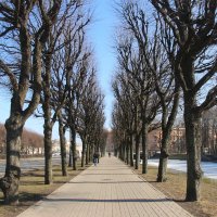 Весенняя аллея :: Наталья Герасимова