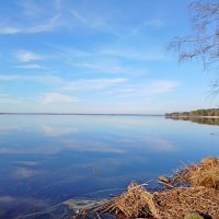 Озеро "Разлив" :: Лия ☼ Озеро "Разлив" :: Лия ☼