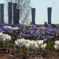 Зарядье 29 марта :: Михаил Бибичков