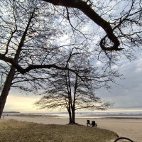 Жизнь :: Андрей 