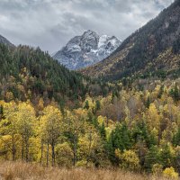 *** :: Аnatoly Gaponenko