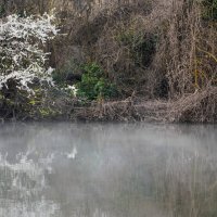 *** :: Игорь Протасов