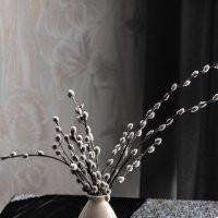 Верба. :: Николай 