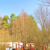 Мостик на весеннем пруду :: Андрей Снегерёв