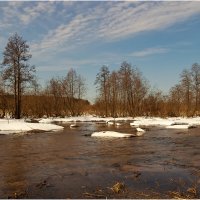Весенний этюд :: Валентин Котляров