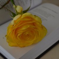 Великие поэты :: Таня Фиалка