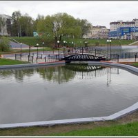 Городской пруд. :: Владимир Попов