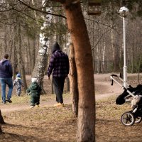 Отцы и дети :: Илья Шенгелия