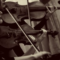 Palladio :: Дмитрий Потапов