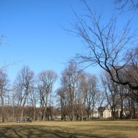 Михайловский сад. Март :: Наталья Герасимова Михайловский сад. Март :: Наталья Герасимова