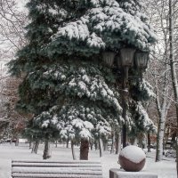 Фотозарисовки :: Роман Савоцкий