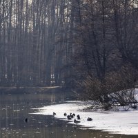 на заре :: Michel 