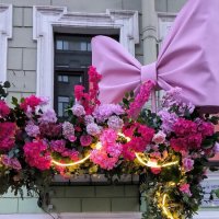 Магазин Цветы на Малой Морской. :: Ольга 