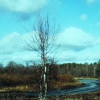 Весна :: Людмила Смородинская Весна :: Людмила Смородинская