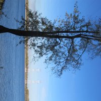 тихий октябрь :: Елена Шаламова