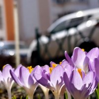 На краю урбанизации :: Александр Кондаков