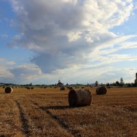 Летняя идиллия :: Ольга Летняя идиллия :: Ольга