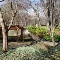 Март, ландшафтный парк, Калининград :: Рита Симонова