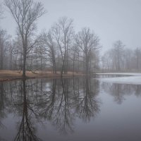 **** :: Елизавета .