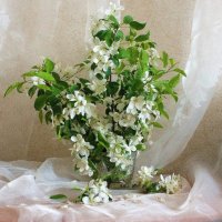 Весеннее настроение :: Галина Нестратова