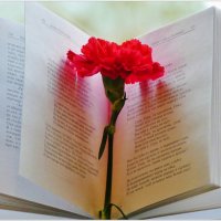 ЮННОСТИ ПРИВЕТ... :: Elvira E. 