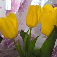 Тюльпаны :: Елена Семигина