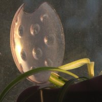 Утренний Пришелец :: олег свирский 